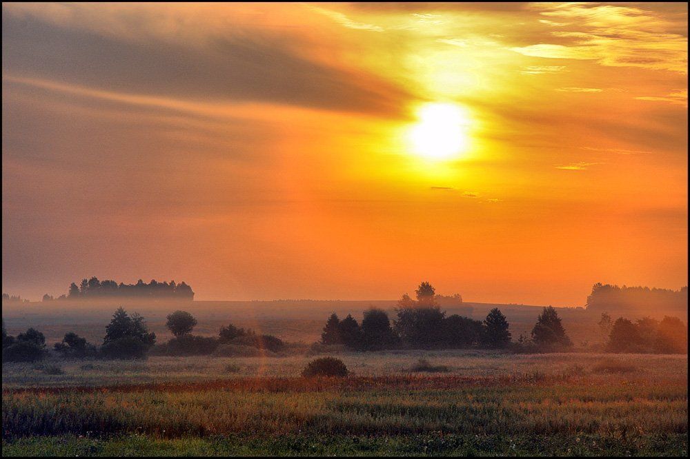 Восходит солнце над полями