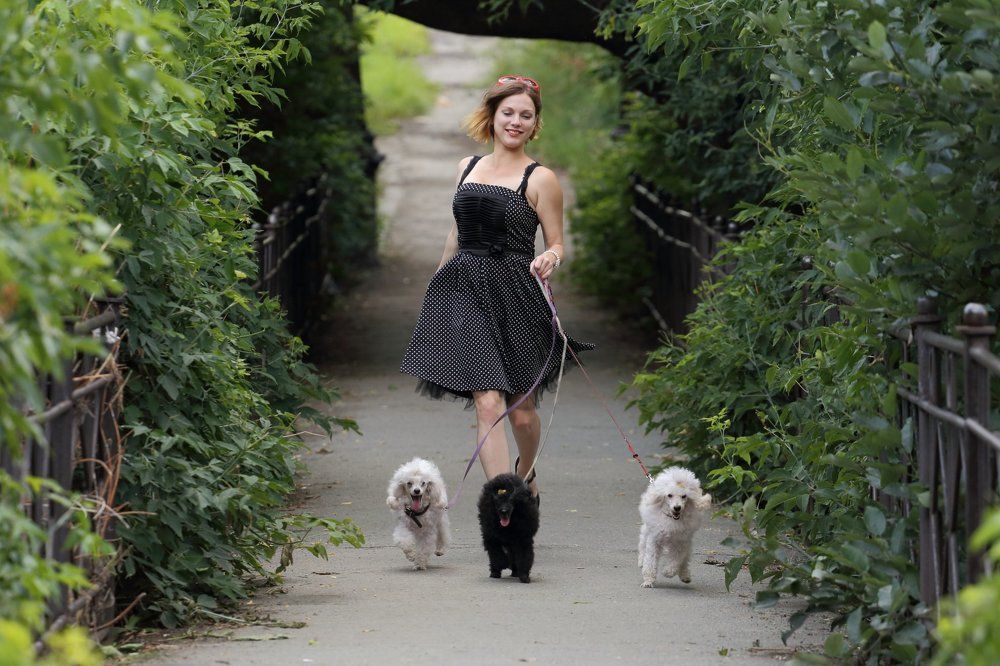 Кто кого выгуливает?