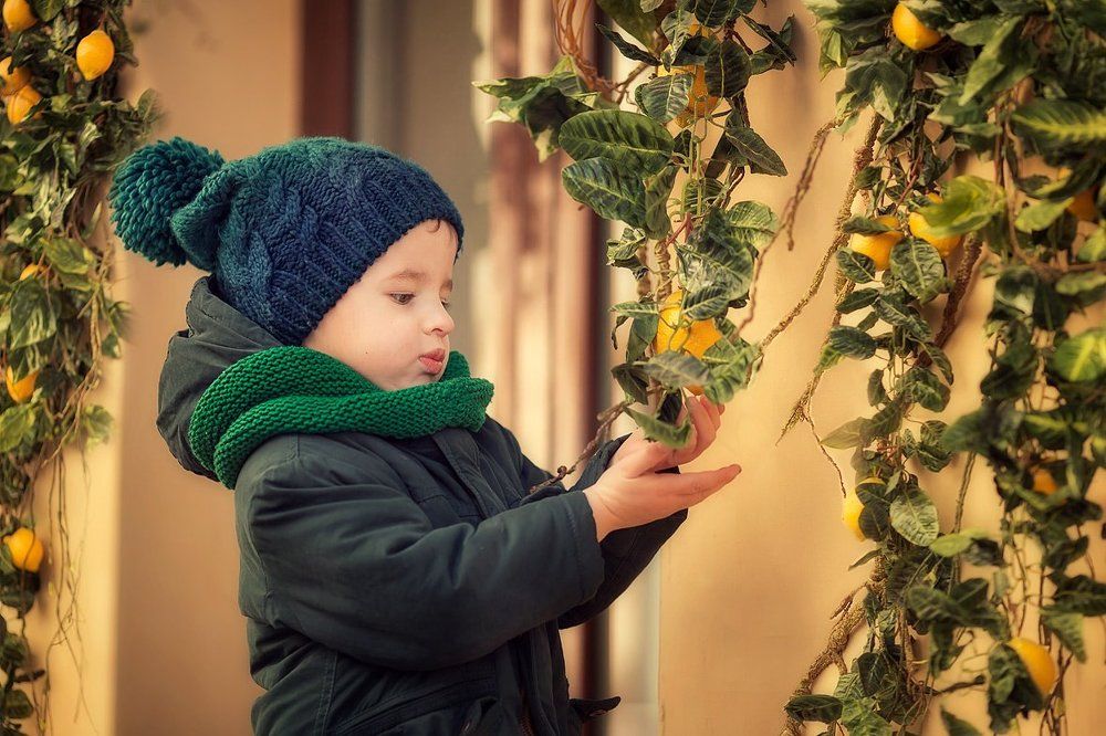 Лимонная весна