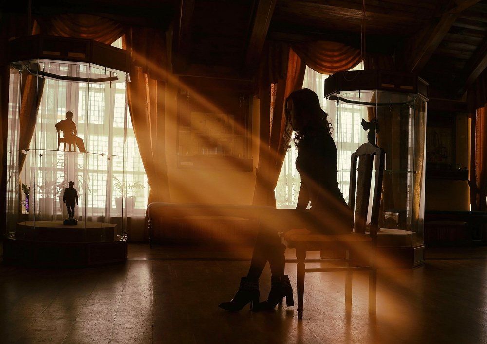 Музейный сумрак