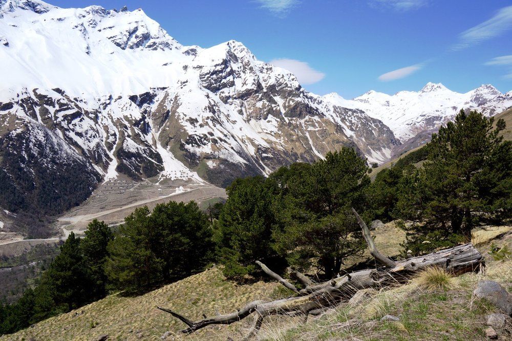 Неподвластные времени