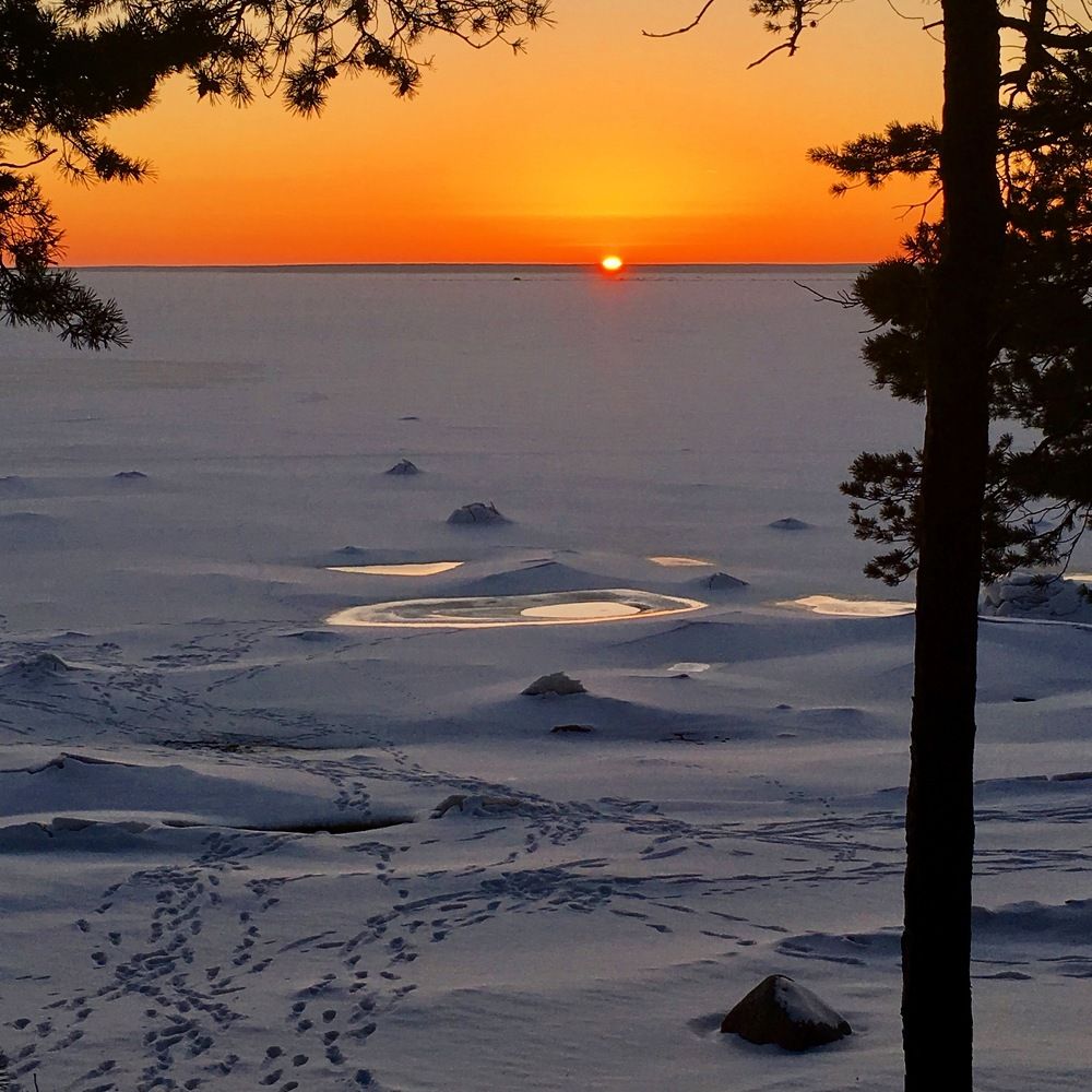 Приморский пейзаж