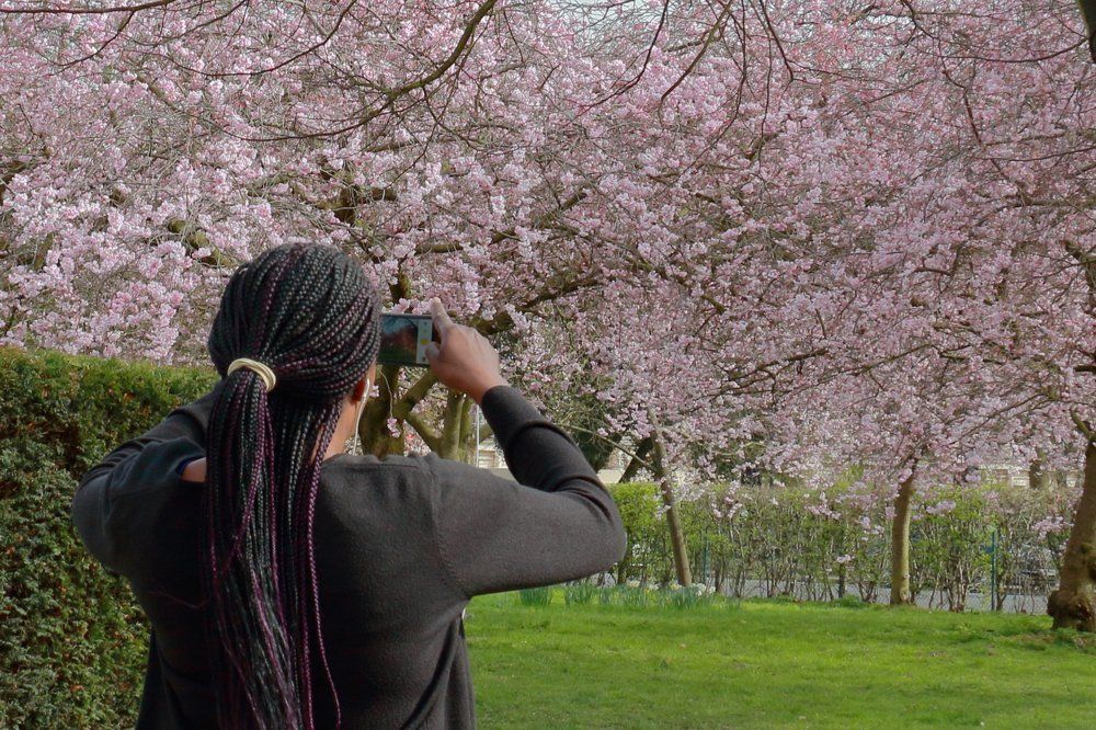 Весна в Лондоне