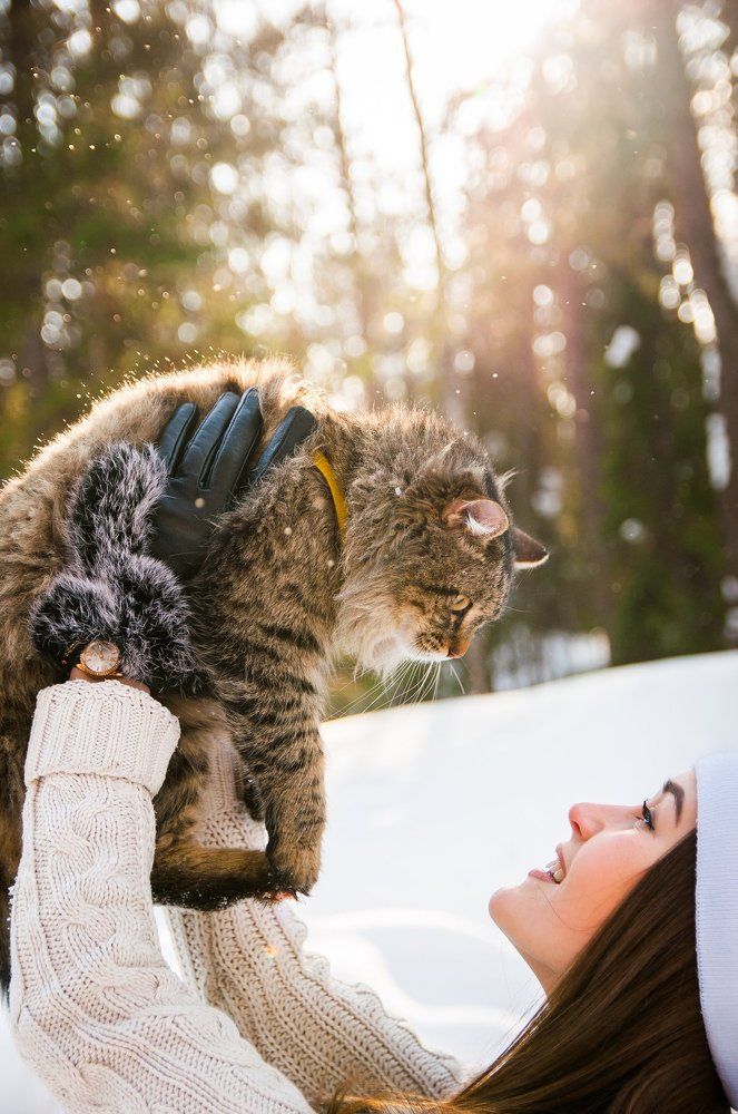 Sun cat