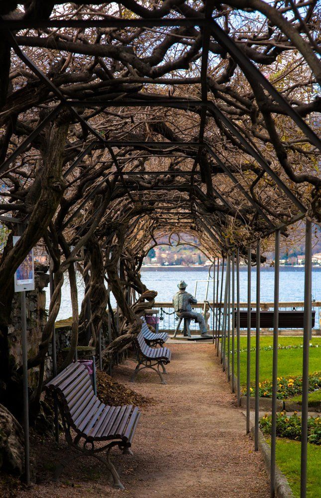 Любитель живописи