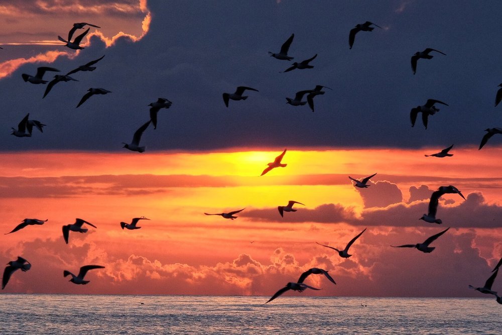 Сочинский закат