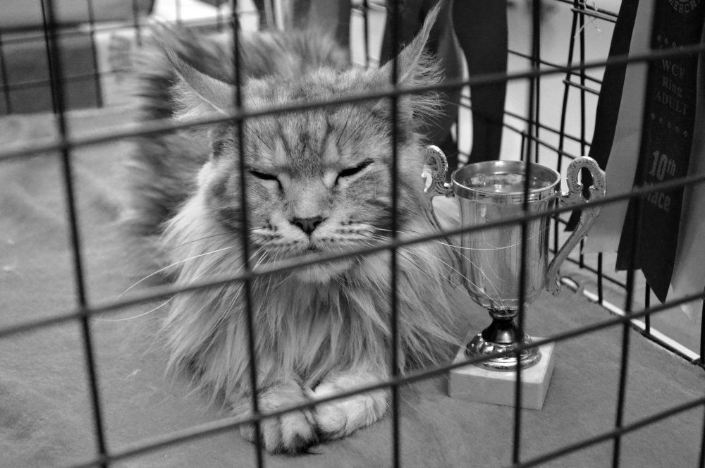 Photograph by Юрий Подвойский