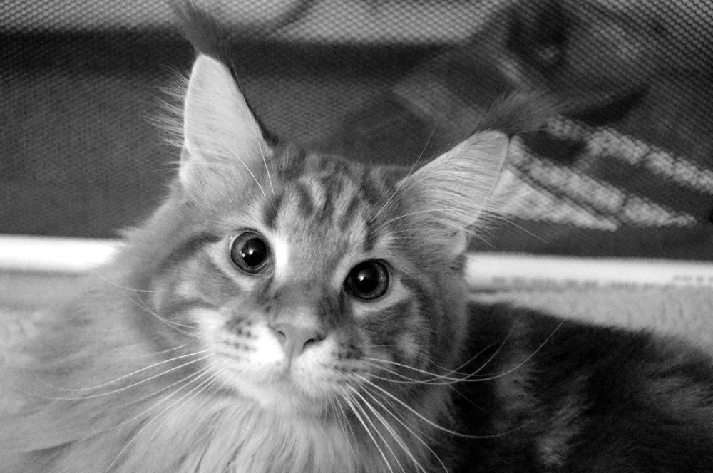 Photograph by Юрий Подвойский