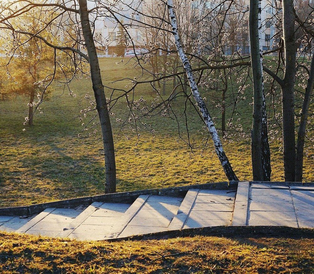 Весенний свет