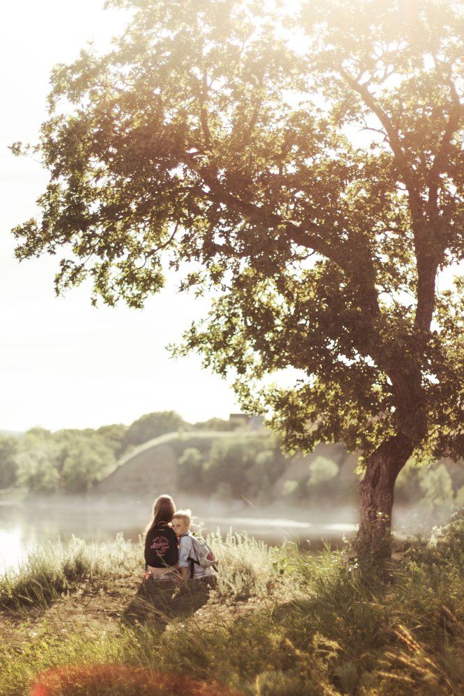 Путешественники