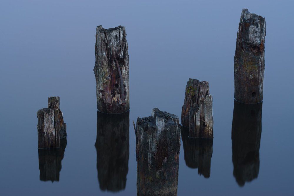 Семейное фото.