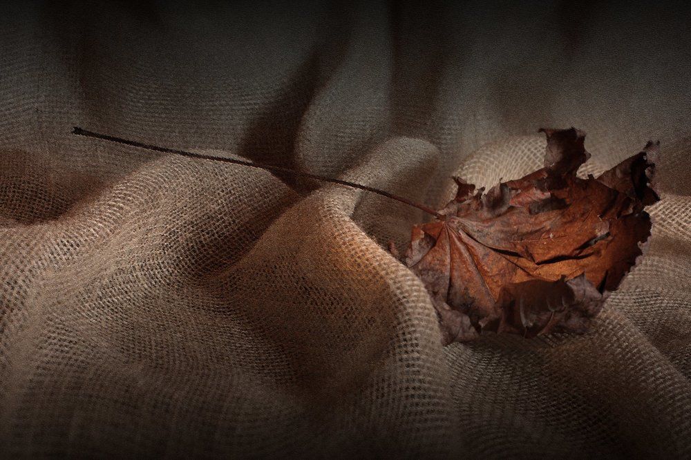 Льняные волны