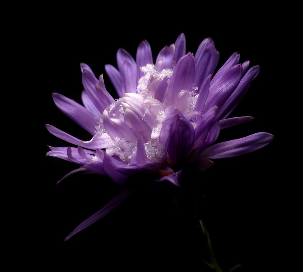 Противостояние