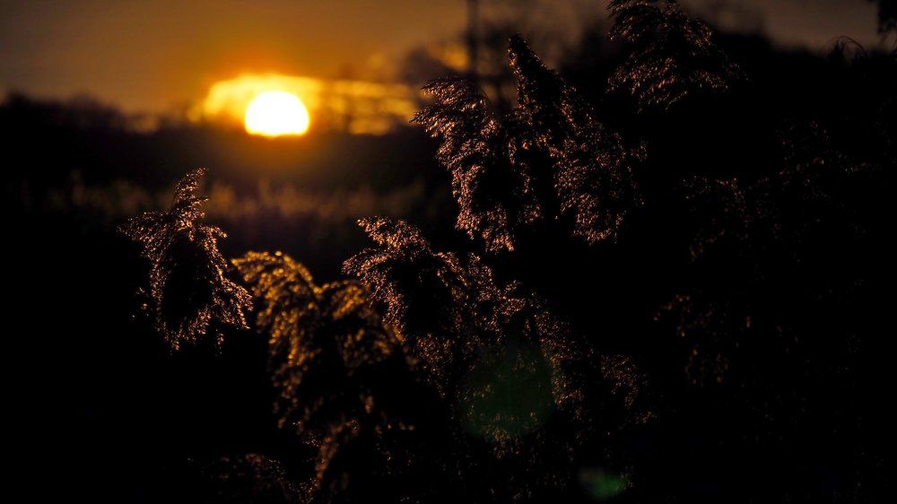 Фотография автора Александр Петаев