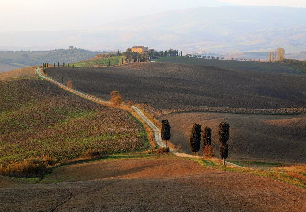 Поля Тосканы
