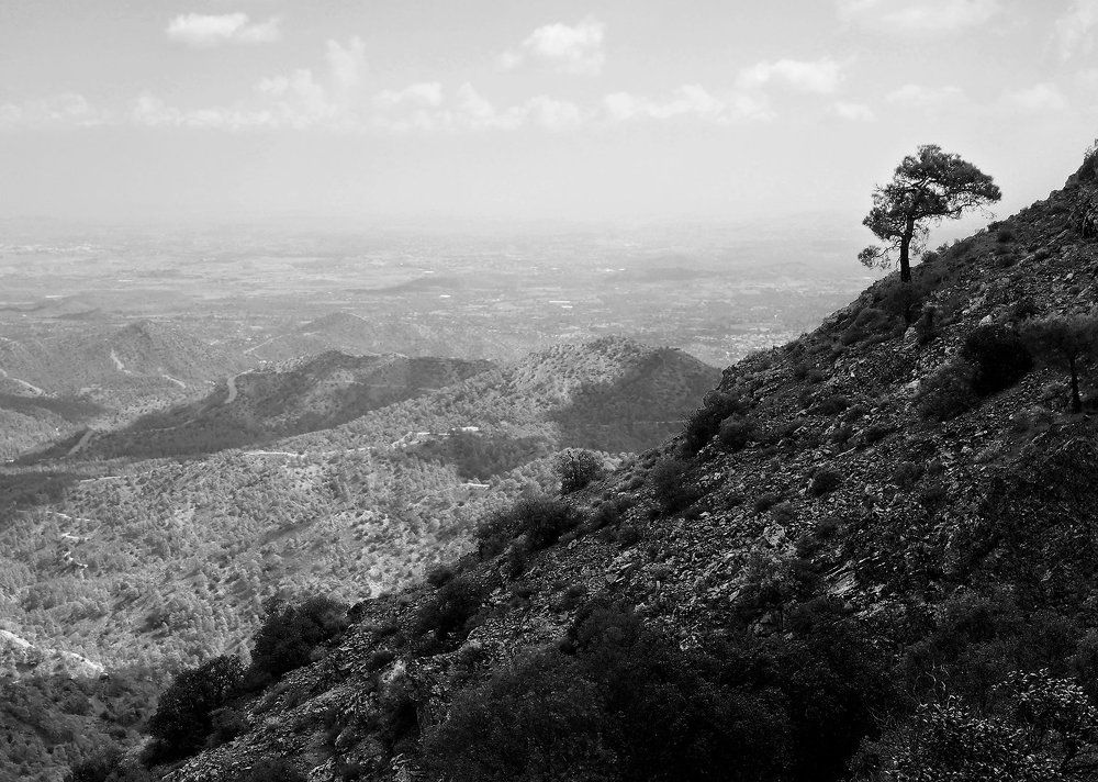 Сила жизни.