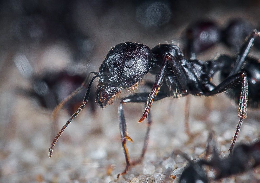 Photograph by Елена