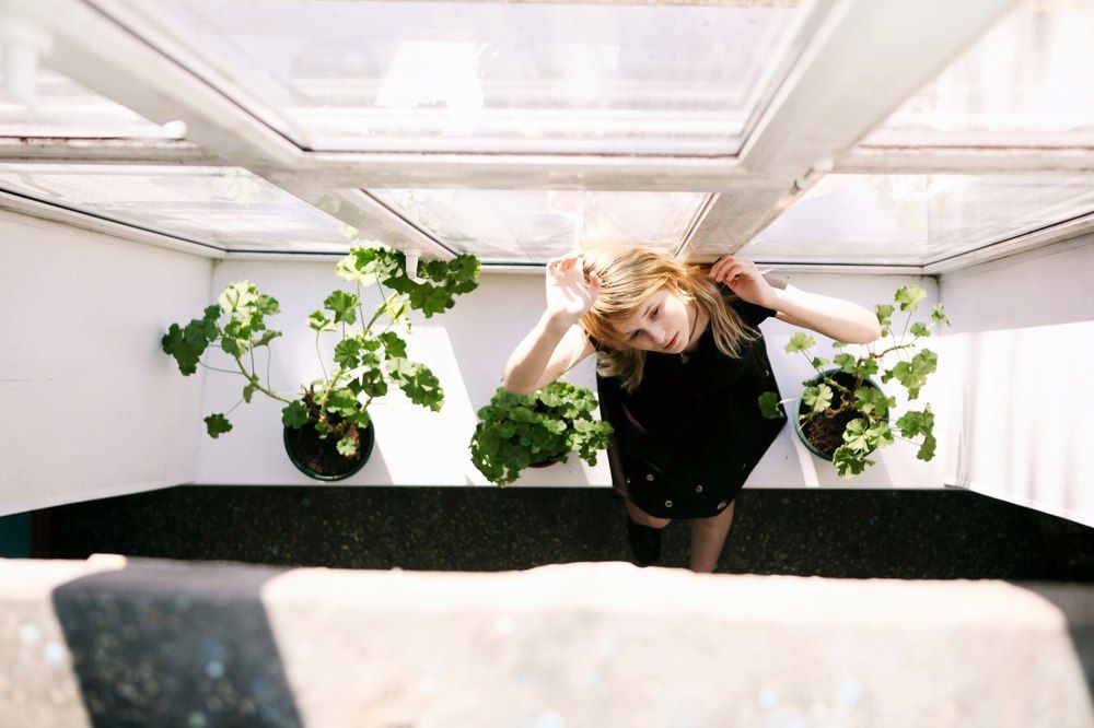 оконные цветы