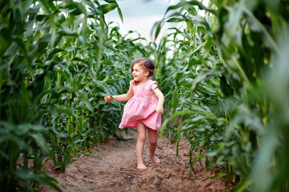 Photograph by Елена