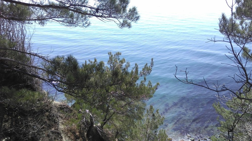 Горы переходящие в море