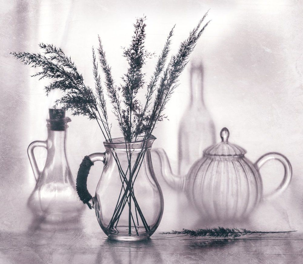 Зимние травы