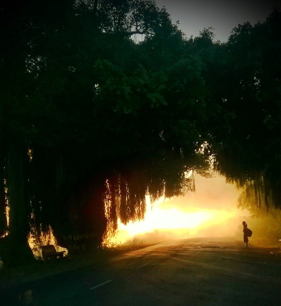 A beautiful morning!