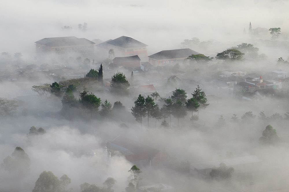 Langensari Mist