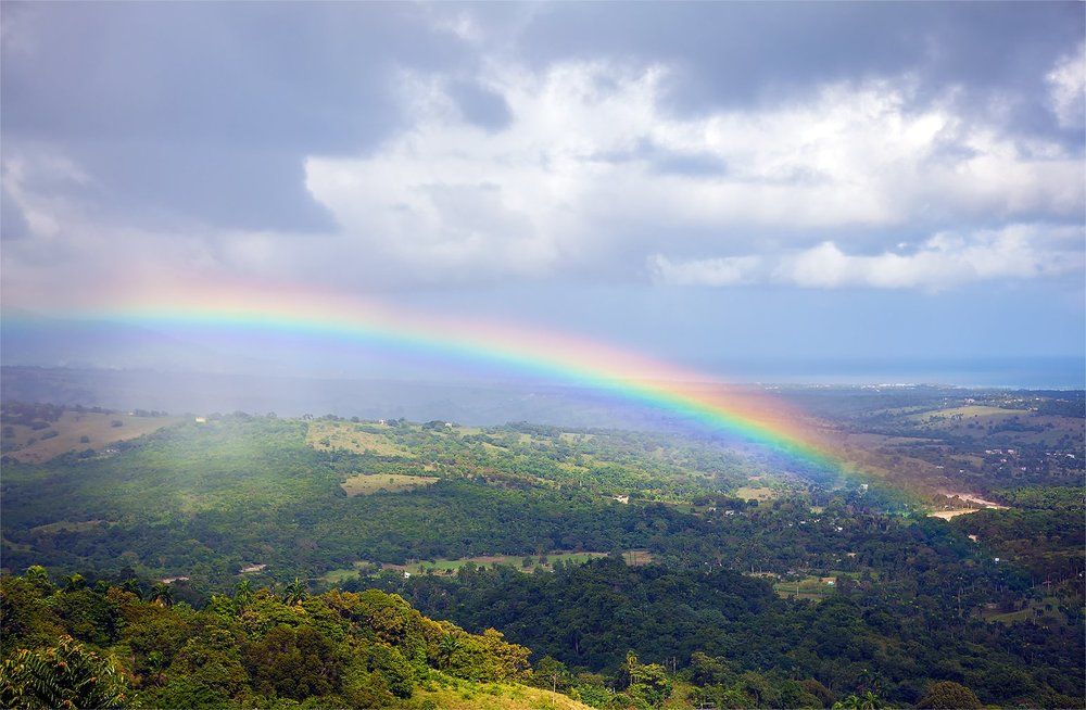 Окончание сезона дождей