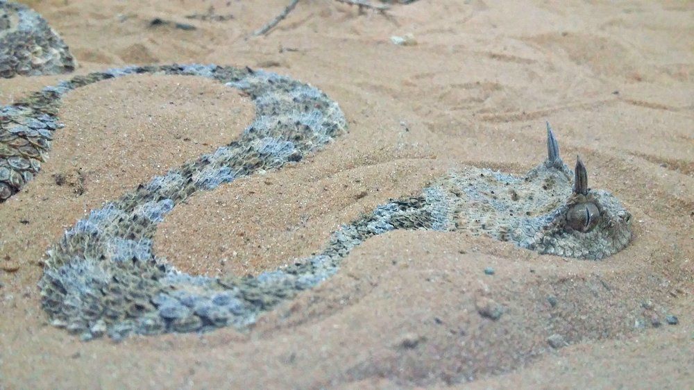 Photograph by Kandubasha