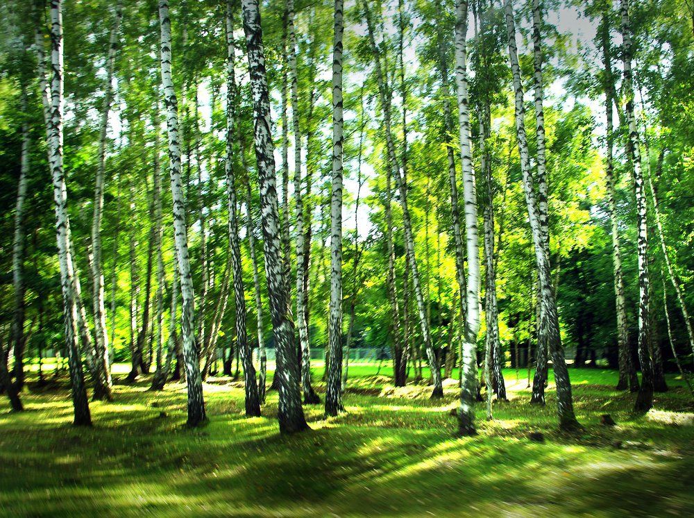 Photograph by Александр Калинин