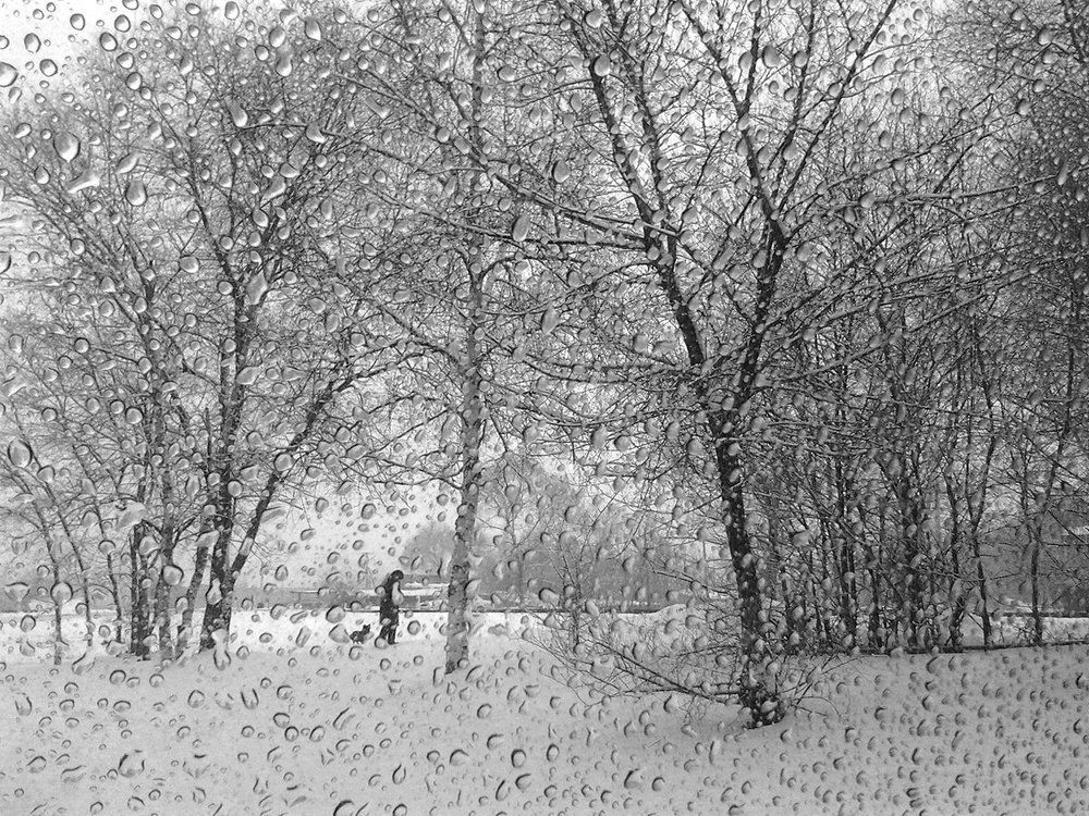 Прогулка в непогоду..