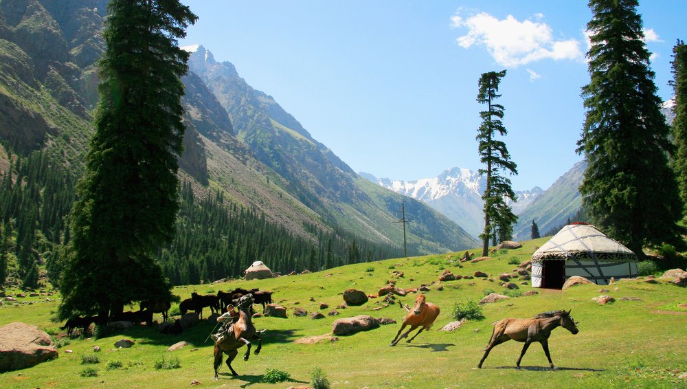 На горном пастбище