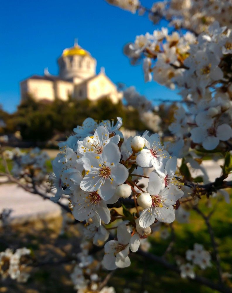 Херсонес. Владимирский собор
