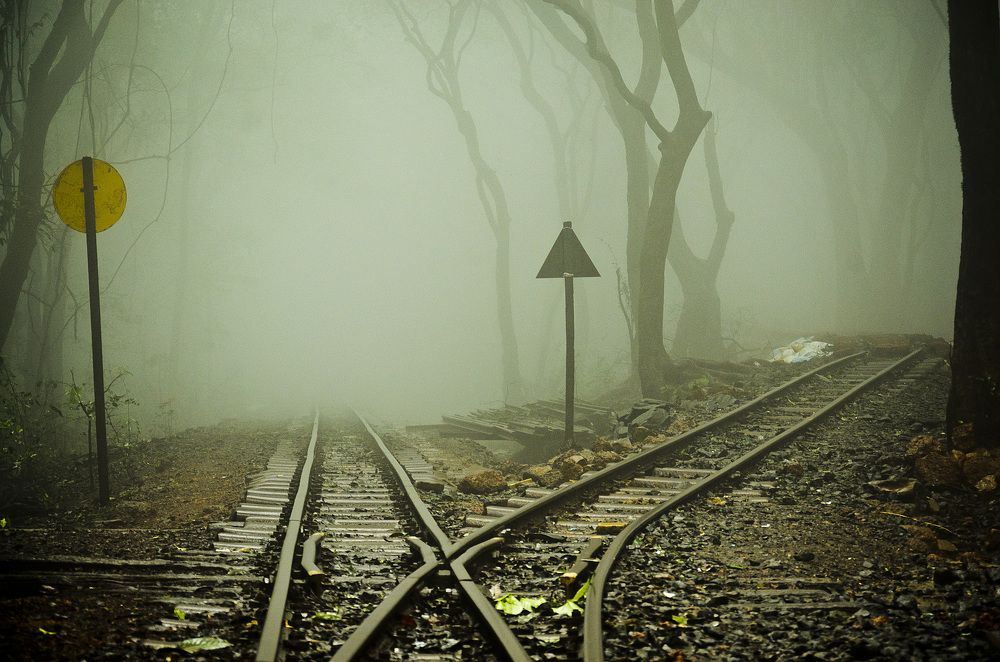 Foggy Tracks