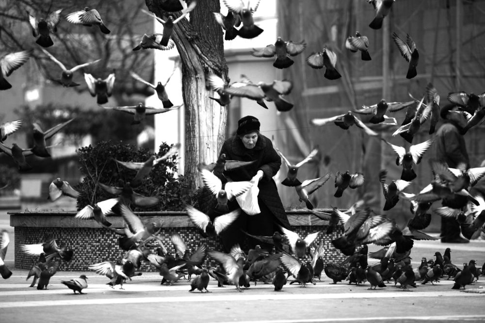 Photograph by Shahin