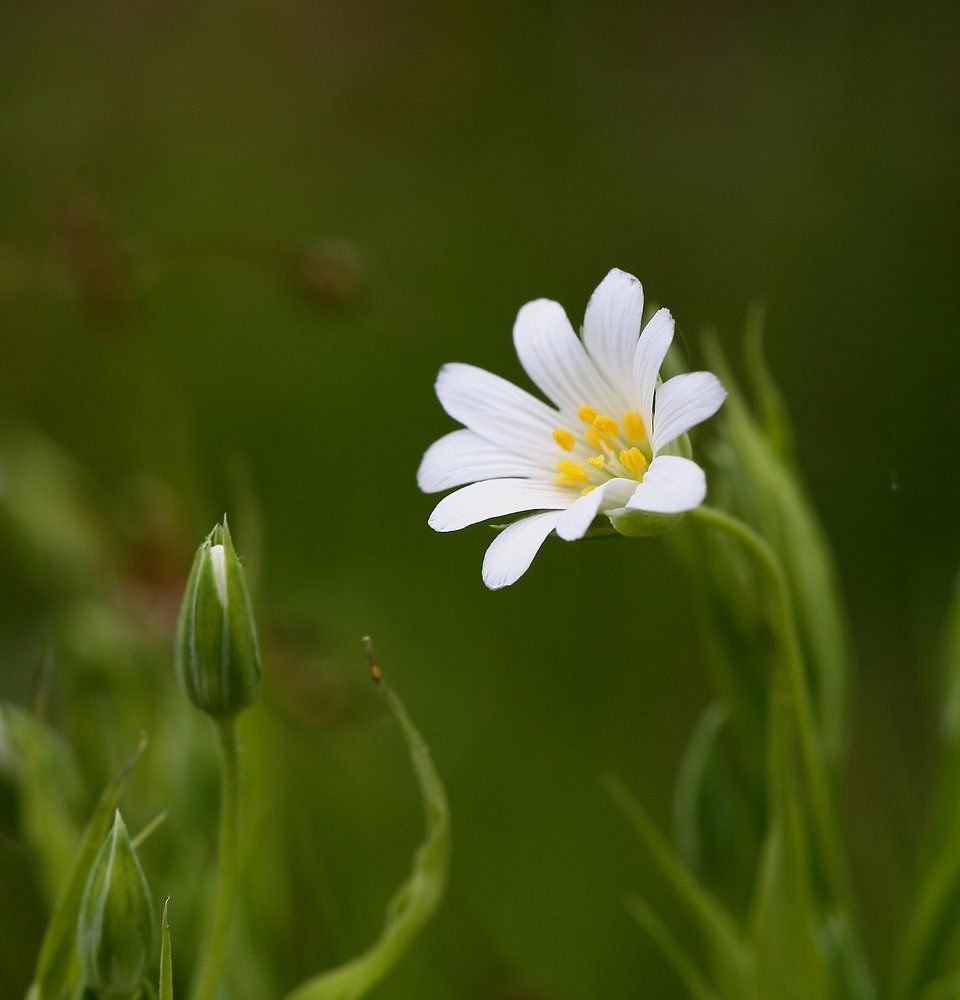 Давай с тобой поговорим...