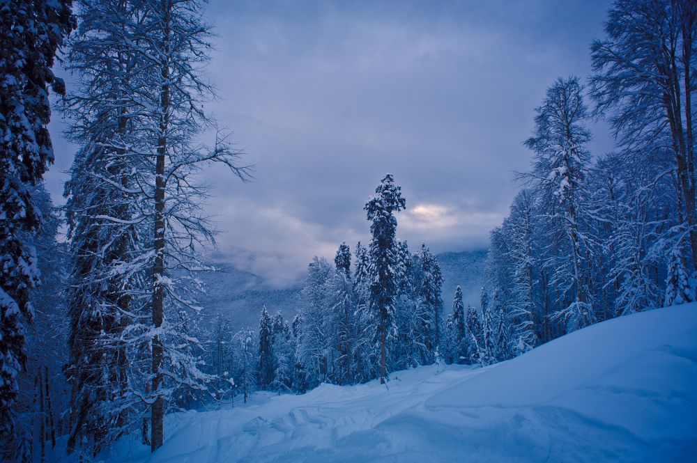 Новым маршрутом