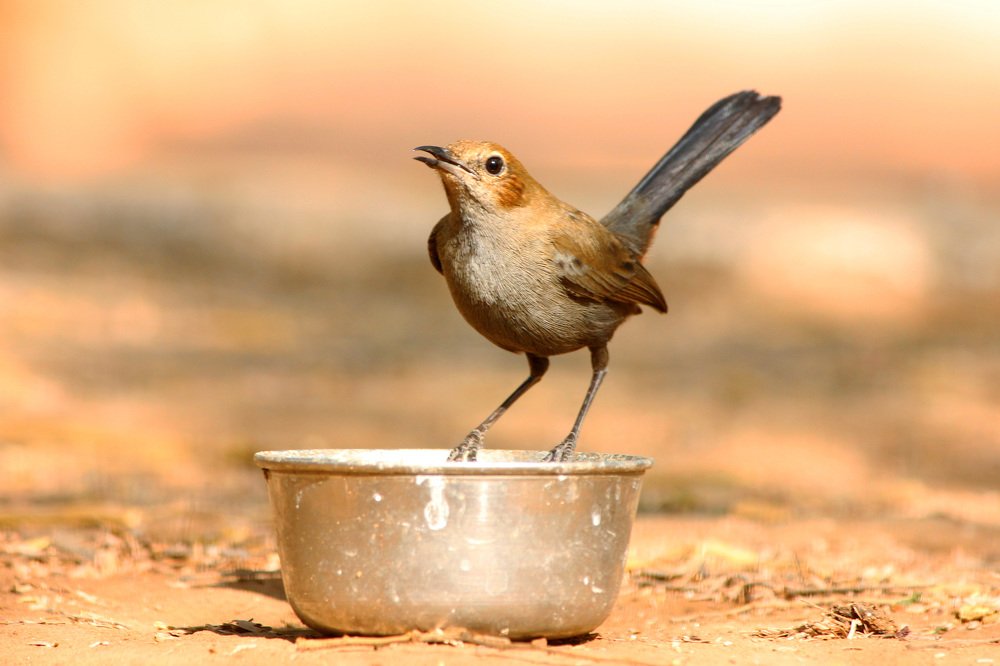 save the water..