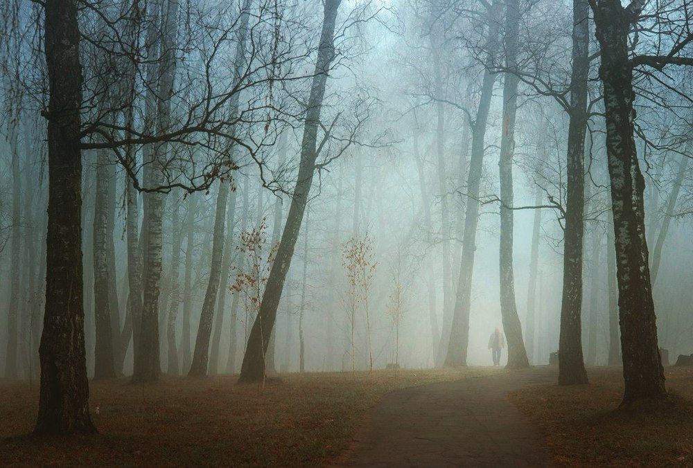 / Прогулка во мгле... /