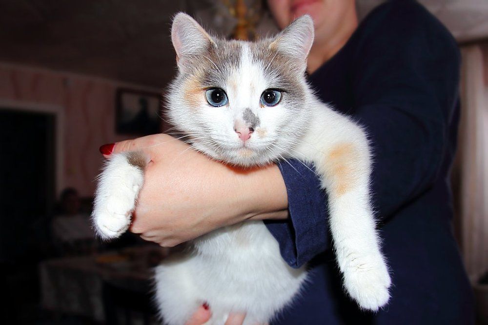 Улыбочку, вас снимает скрытая камера...