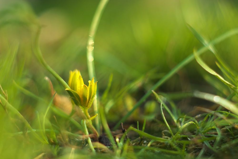 Photograph by Евгений Лобойко