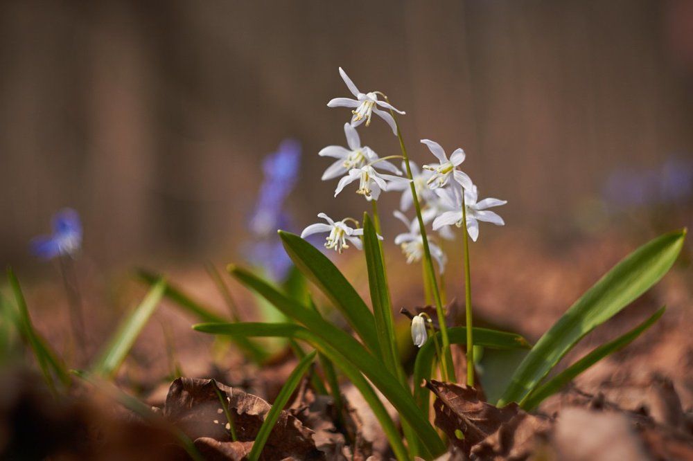 Photograph by Евгений Лобойко