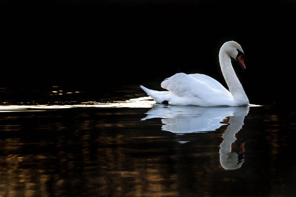 Отражение...