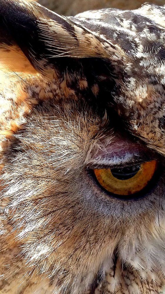 Photograph by Kandubasha