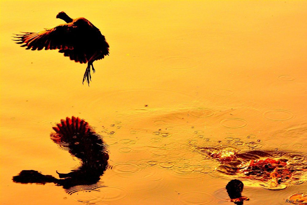 Everything in your life is a reflection of a choice you have made