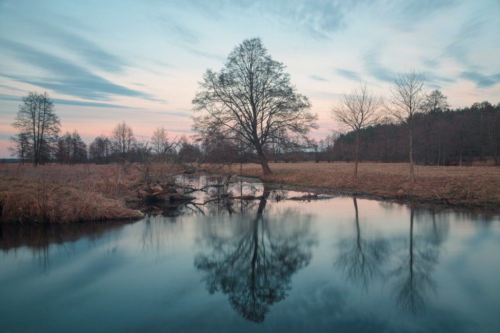 Весна. Март. II