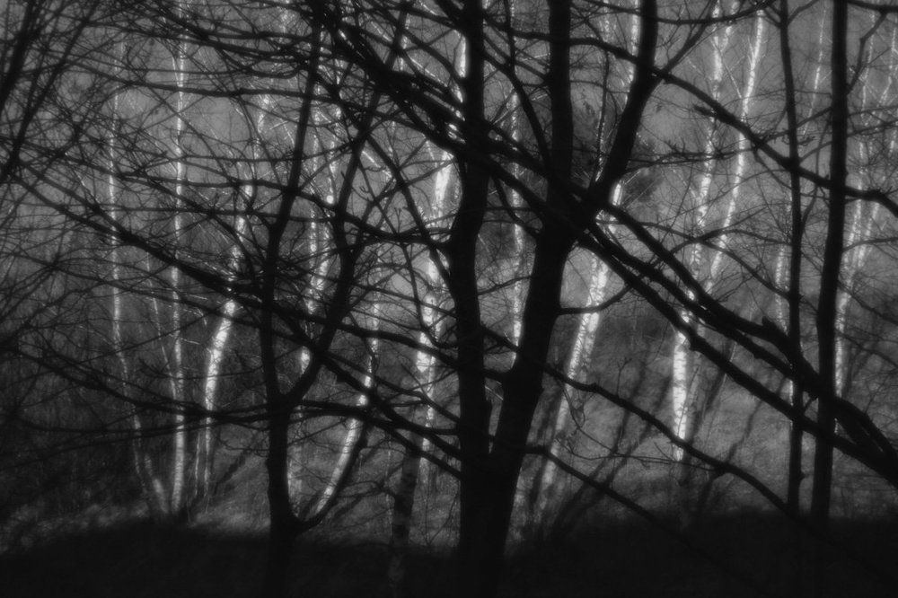 Кисловодск