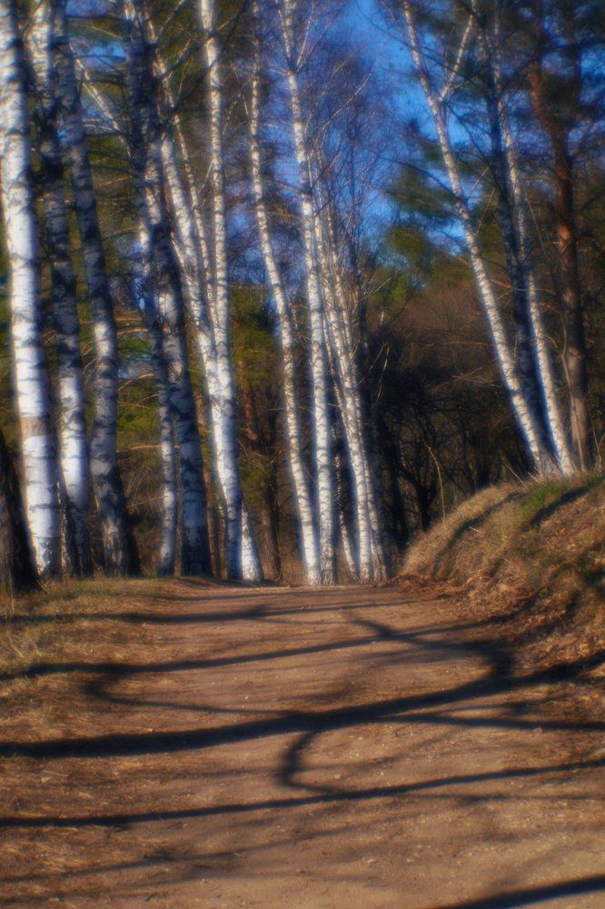 Кисловодск