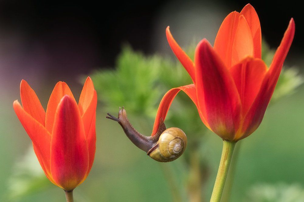 Вечерняя гимнастика