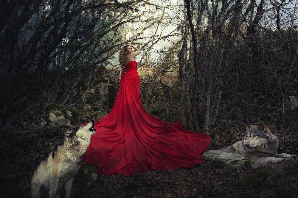 среди волков